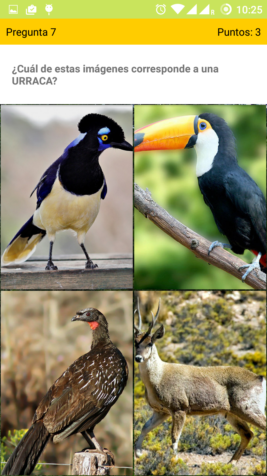 TUCU TRIVIA - Aplicación para conocer y valorar nuestras reservas naturales